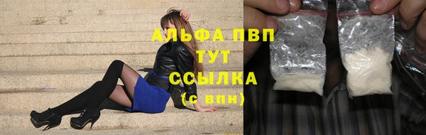 стаф Волоколамск