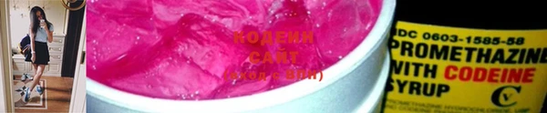 ешки Вяземский