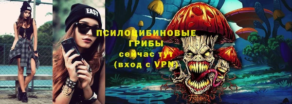 ешки Вяземский