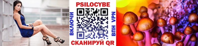 сколько стоит  Дно  Галлюциногенные грибы Psilocybine cubensis 