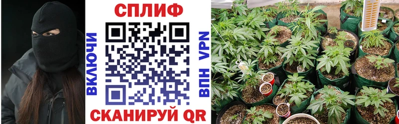 Каннабис SATIVA & INDICA  KRAKEN сайт  Дно  купить наркоту 